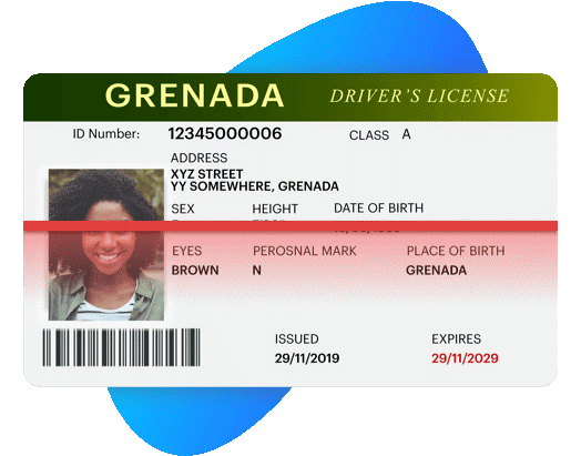 International Driving License In Grenada